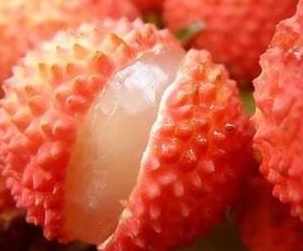 www.成人抖音荔枝